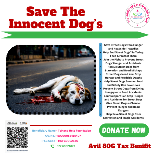 Save Our Street Dogs: They Deserve Love, Care, and a Chance at Life